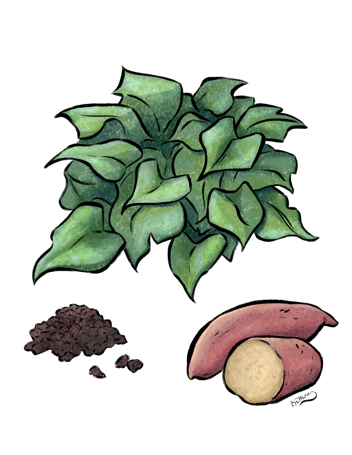 Sweet Potato Plant Profile (Digital)