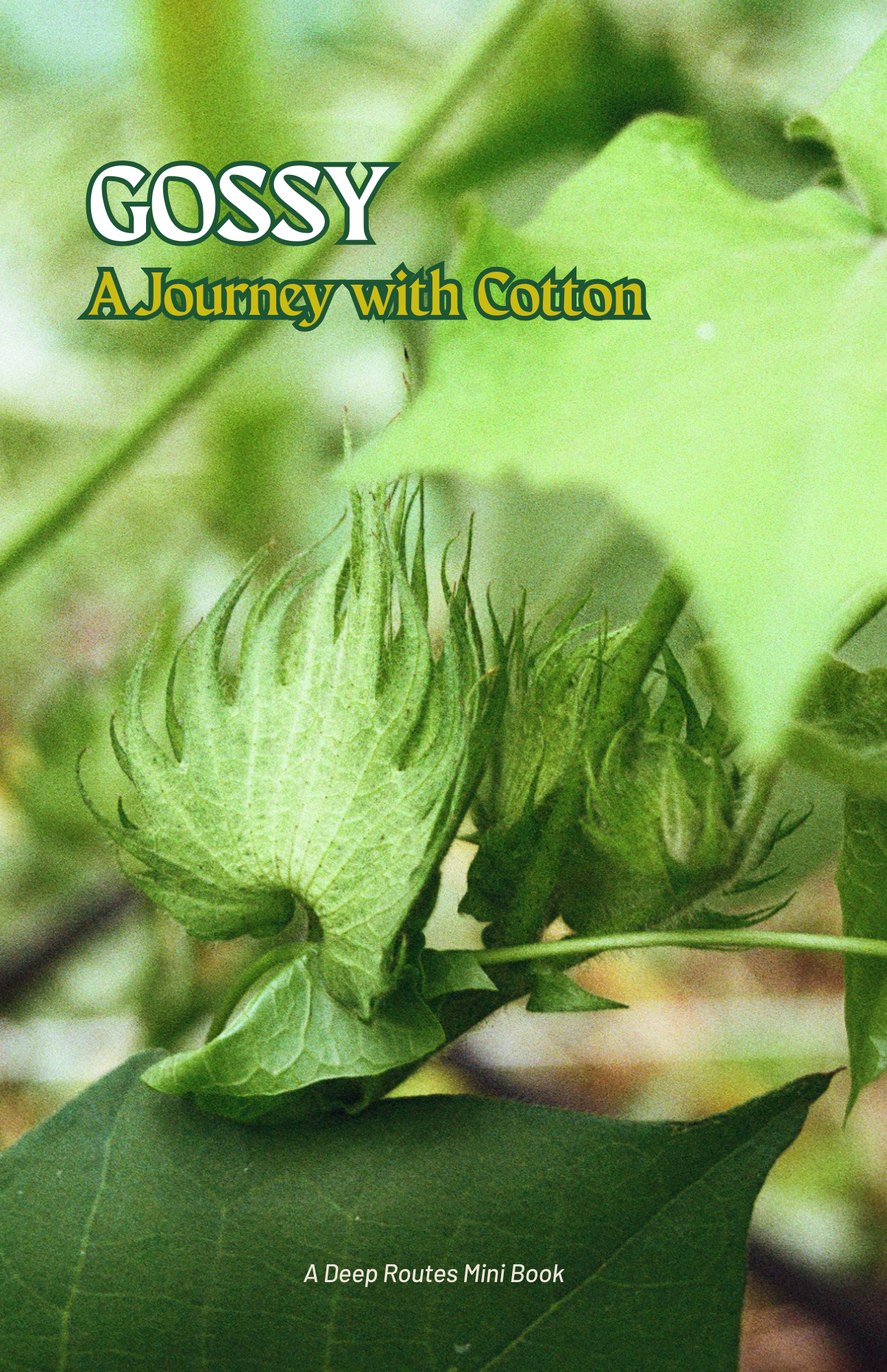 Gossy: A Journey with Cotton (PRINT)